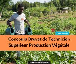 Concours BTS en Production Végétale Session 2024 – Dépôts ouverts