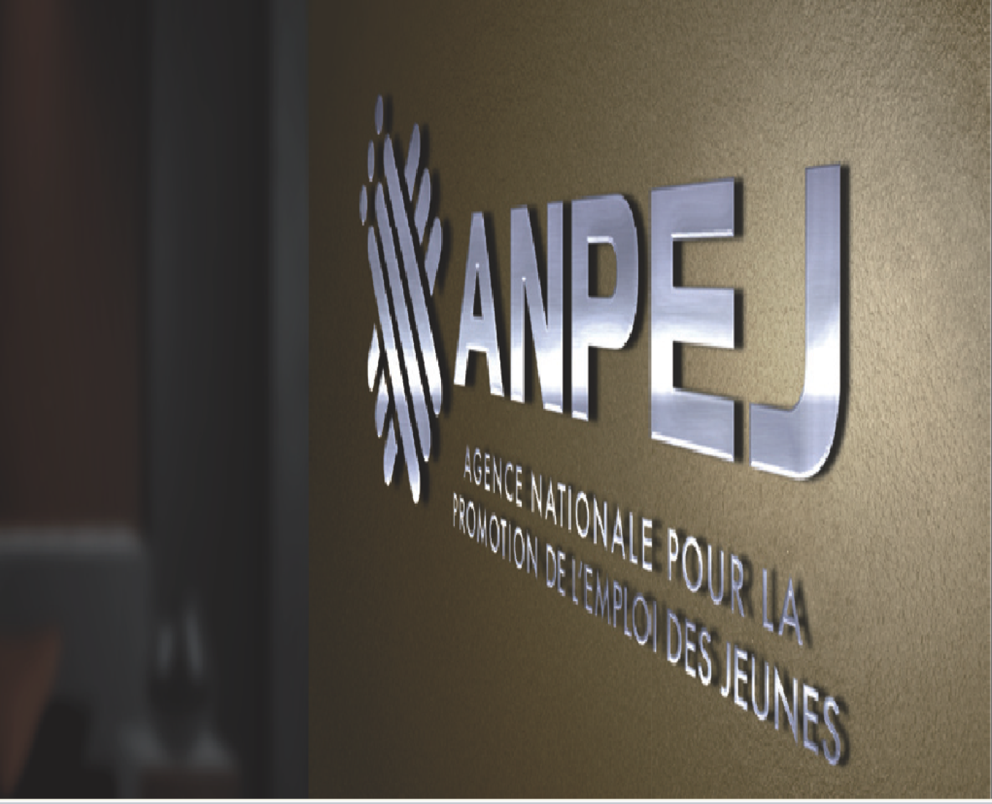 L'ANPEJ recrute 1000 Agents Commerciaux : Une Opportunité à Saisir