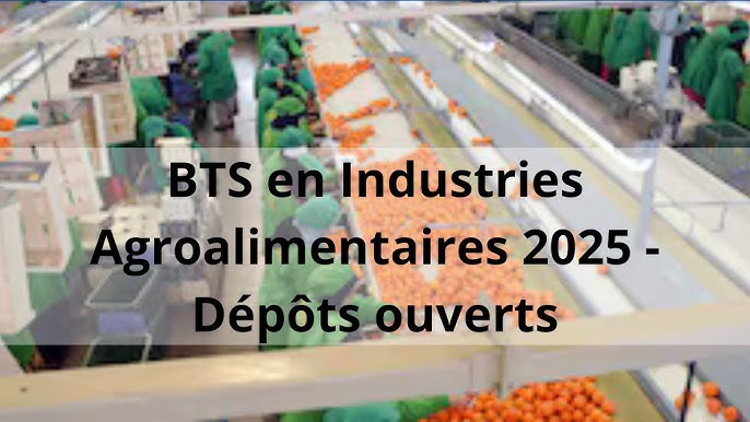 Concours BTS en Industries Agroalimentaires 2025 – Dépôts ouverts