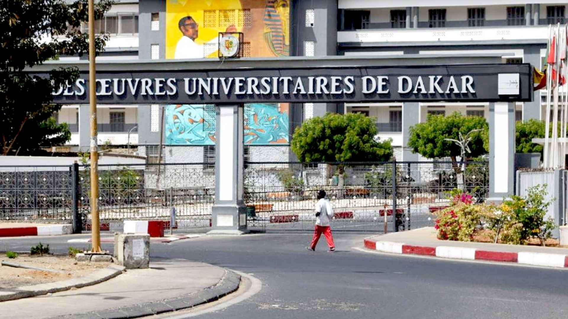 UCAD recrute plusieurs profils  